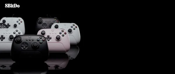 8Bitdo Pro 2 Bluetooth Controller (15)